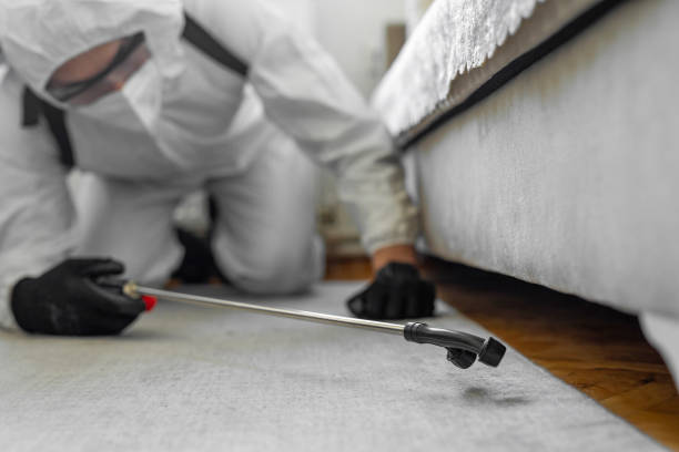 Professional Pest Control technician working in Polk County County, MO